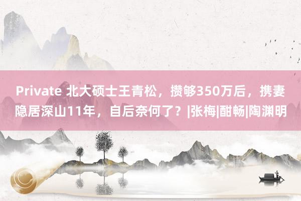 Private 北大硕士王青松，攒够350万后，携妻隐居深山11年，自后奈何了？|张梅|酣畅|陶渊明