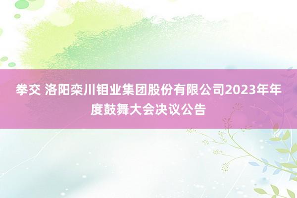 拳交 洛阳栾川钼业集团股份有限公司2023年年度鼓舞大会决议公告